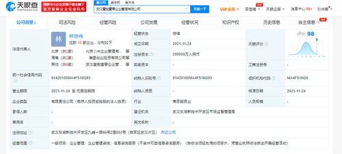 小米斥資20億在武漢成立企業(yè)管理公司，雷軍疑似實控人